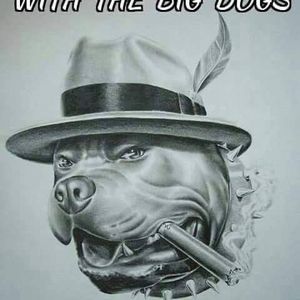 Meet your Posher, Justin